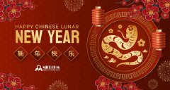 MICROHM恭賀大家2025年蛇年大吉